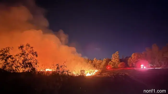 Incendio forestal masivo causado por un conductor de jeep que intentaba liberarse del barro