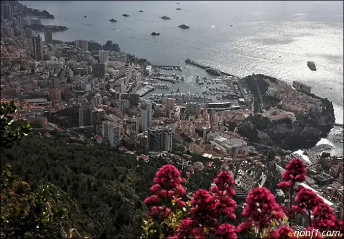 Monaco Grand Prix: Comments before the stage