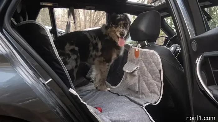 La funda para asiento de perro de 3W Liners es ingeniosamente modular—y una ganga en oferta: Resumen