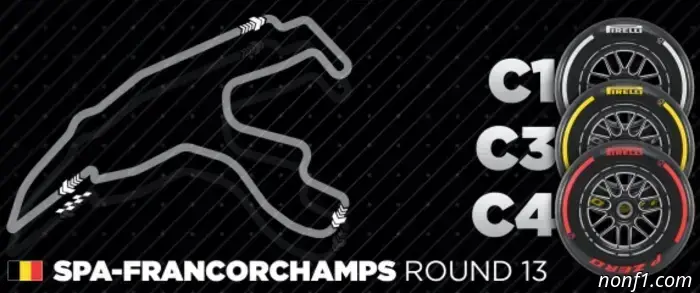 Choosing rubber compositions for the Spa is not the most usual.
