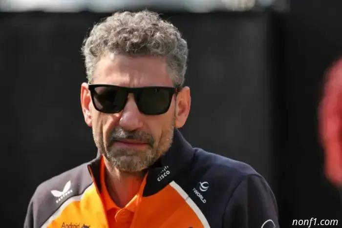 Stella: During the race we will be able to gain an advantage.