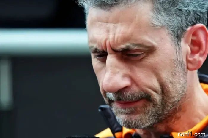 Andrea Stella: Hay que volver a la realidad