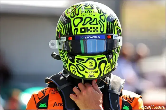McLaren has identified the cause of Norris's retirement.