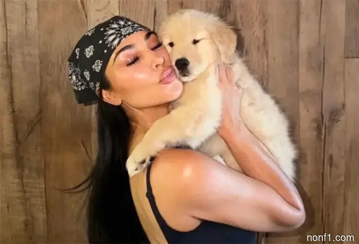 Lewis Hamilton ha adoptado un nuevo cachorro.