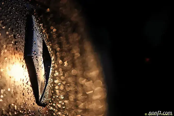 Renault acknowledged serious financial problems