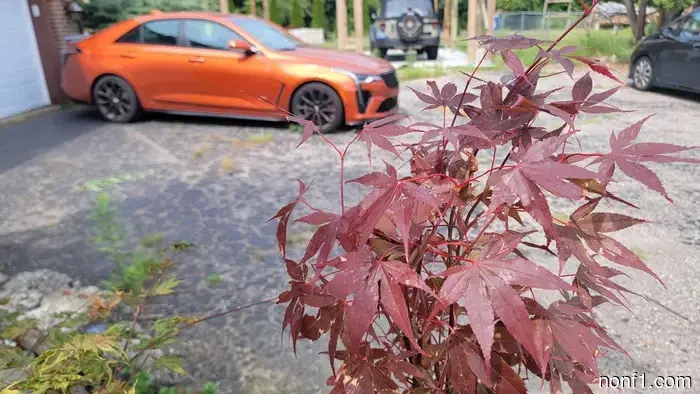 El lucro a corto plazo está matando los coches de entusiastas—y a los futuros entusiastas.