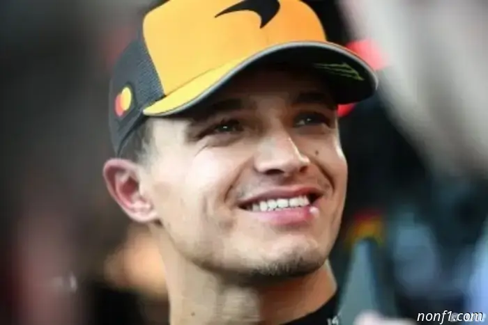 Verstappen found his GT3 victory 'less difficult' without the pressure of competing for a title.