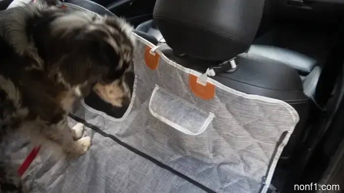 3W Liners’ Dog Seat Cover Features an Innovative Modular Design—and Is a Great Bargain While on Sale: The Overview