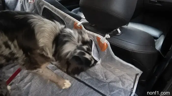 3W Liners’ Dog Seat Cover Features an Innovative Modular Design—and Is a Great Bargain While on Sale: The Overview