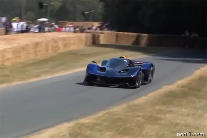 Adrian Newey drove the hypercar RB17 at Goodwood.