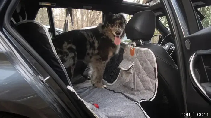 La funda para asiento de perro de 3W Liners es ingeniosamente modular—y una ganga en oferta: Resumen