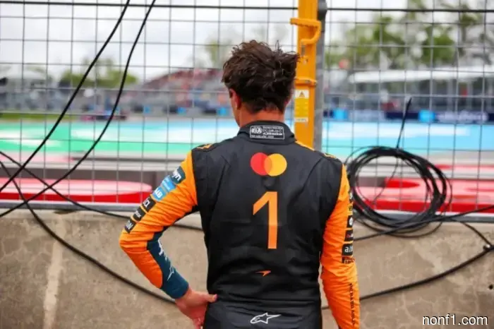 Lando Norris: I guess it wasn't our day.