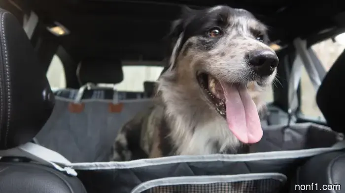 La funda para asiento de perro de 3W Liners es ingeniosamente modular—y una ganga en oferta: Resumen