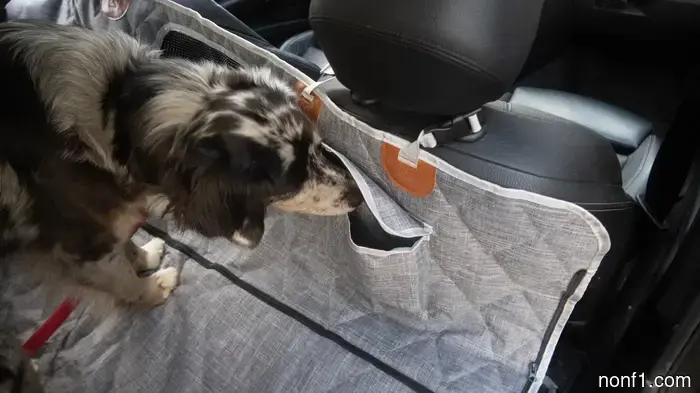 La funda para asiento de perro de 3W Liners es ingeniosamente modular—y una ganga en oferta: Resumen