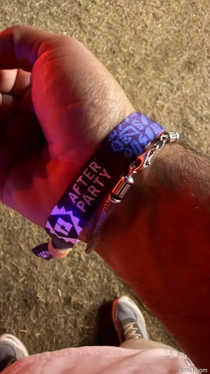 How Four Random Lando Norris Fans Demonstrated the True Essence of F1 Fandom at Silverstone