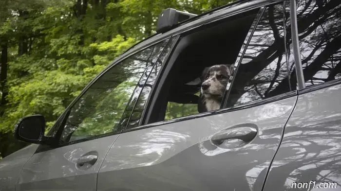 2025 BMW X5 40i ‘Silver Anniversary’ Review: The Off-Road X5 Performs Surprisingly Well