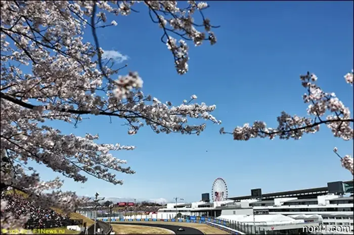 Japanese Grand Prix: Stage Preview