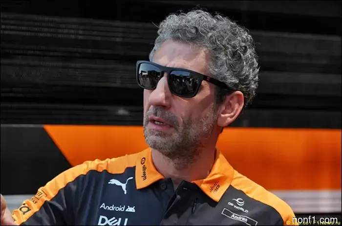 Andrea Stella on McLaren's strategy in Hungary