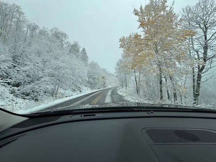 Reseña del Subaru Outback 2025: Ofrece un gran valor en un paquete familiar elevado
