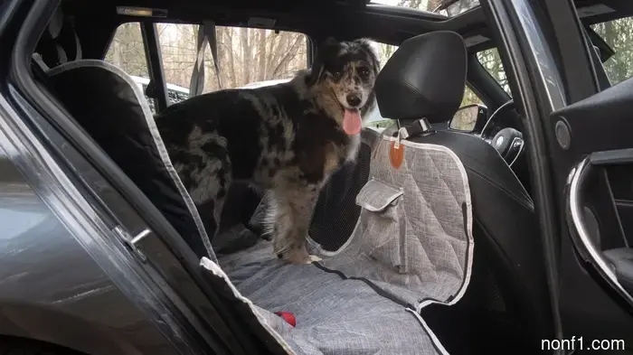3W Liners’ Dog Seat Cover Features an Innovative Modular Design—and Is a Great Bargain While on Sale: The Overview